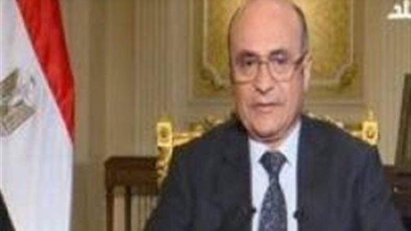 المستشار عمر مروان : إنجازات تحققت فى ملف حقوق الإنسان خلال 5 سنوات (فيديو)