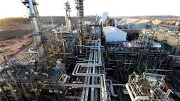 البيئة: «إصابة 84 بسبب تسريبات بمصنع كيما أسوان.. وتشكيل لجنة لفحص المشكلة» (فيديو)