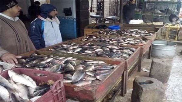 أسعار الاسماك اليوم الثلاثاء 26 نوفمبر 2019