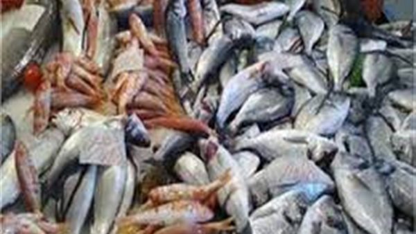 أسعار الاسماك اليوم الخميس 5 ديسمبر 2019