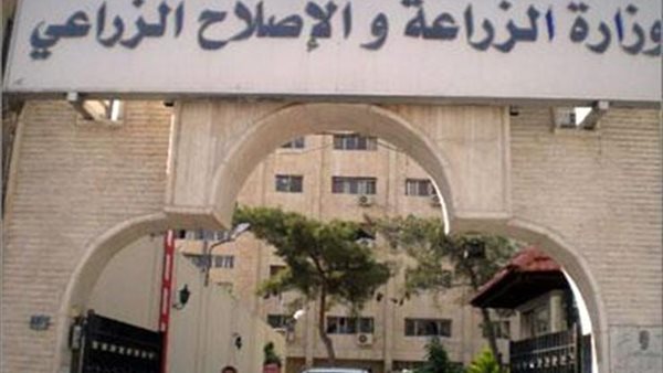 الزراعة: تدريب عدد من الأطباء البيطريين والمهندسين الزراعيين على التحسين الوراثي بالدنمارك (فيديو)