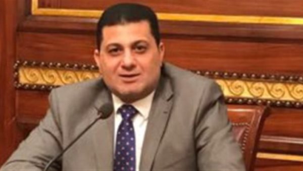 برلمانى يطالب باقالة وزيرة الصحة مؤكدا : فشلت فى أداء وظيفتها وتصريحاتها كلام فى الهواء