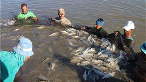 رئيس «الثروة السمكية»: «تعاون مع الهيئة الهندسية للقوات المسلحة لتطهير البحيرات» (فيديو)