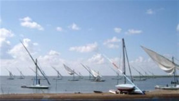 رئيس «الثروة السمكية»: « 500 مليون جنيه قيمة دعم المرحلة الثالثة لتطوير البرلس.. وفنانون عالميون يزورون البحيرة» (فيديو)