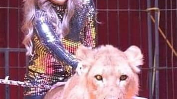 دهب الحلو تستقبل أبناء صاحبة الجلالة بالسيرك الأوروبي 