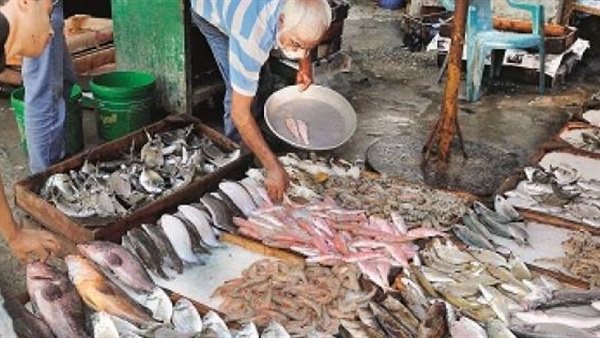 أسعار الاسماك اليوم الأحد 22 ديسمبر 2019