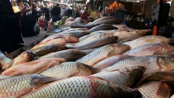أسعار الاسماك اليوم الاربعاء 25 ديسمبر 2019