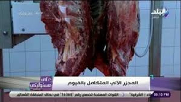 أحمد موسي : انخفاض أسعار اللحوم بعد افتتاح مجمع إنتاج الفيوم | فيديو