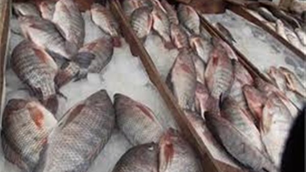 أسعار الاسماك اليوم الجمعة 27 ديسمبر 2019