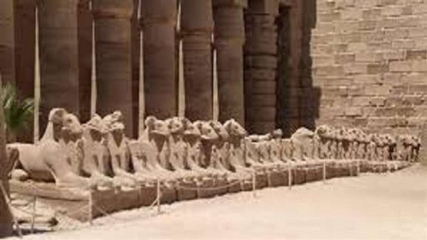 مصطفى وزيرى يوضح حقيقة نقل الكباش إلى ميدان التحرير