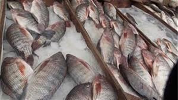 أسعار الاسماك اليوم الخميس 16 يناير 2020