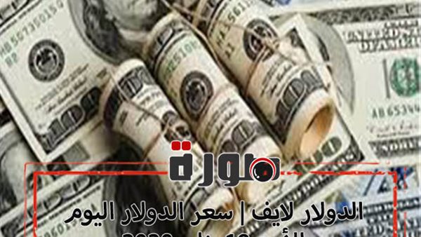 الدولار لايف | سعر الدولار اليوم الأحد 19 يناير 2020