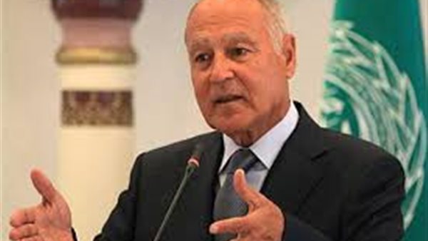 أبو الغيط: التدخلات التركية وراء تدهور أوضاع ليبيا | فيديو