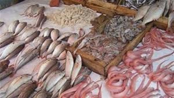 أسعار الاسماك اليوم الثلاثاء 28 يناير 2020