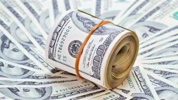 الدولار لايف | سعر الدولار اليومً مقابل الجنيه المصري الجمعة 31 يناير 2020