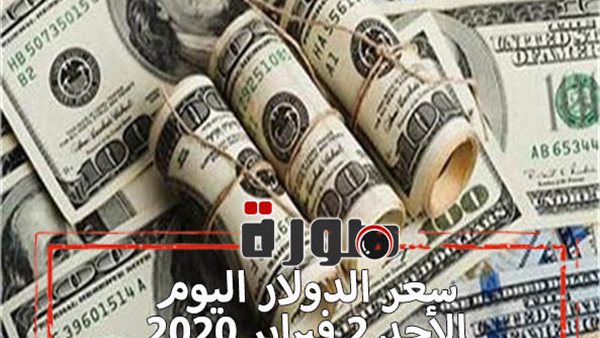 سعر الدولار لايف | اسعار الدولار فى البنوك المصرية اليوم الأحد 2 فبراير 2020