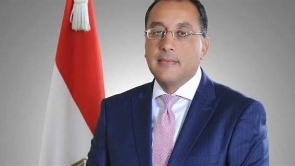 الوزراء: عزل المصريين القادمين من الصين 14 يوما.. وتوفير هواتف محمولة وخدمة طبية 5 نجوم لهم | فيديو