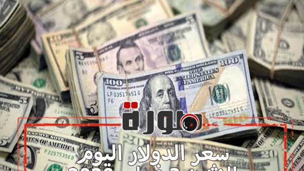 الدولار لايف | سعر الدولار اليوم الاثنين 3 فبراير 2020