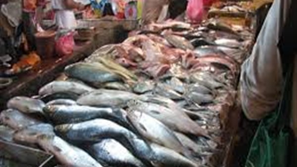 أسعار الاسماك اليوم الاربعاء 19 فبراير 2020