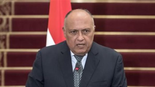 سامح شكري: اتفاق دول القارة الأفريقية على منع التدخلات الأجنبية في ليبيا | فيديو 