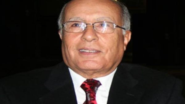 المخرج محمد فاضل: الفن يجب أن يعبر عن مصر التي تبني وتطور وتحارب الإرهاب | فيديو