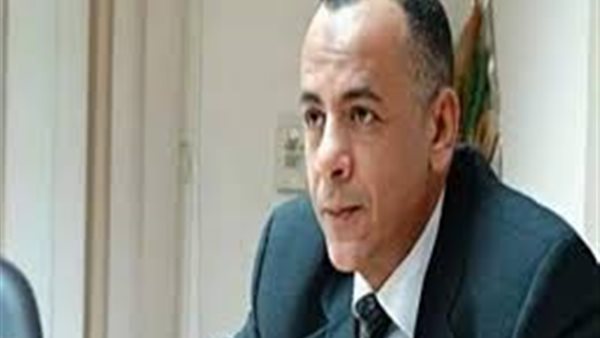 مصطفي وزيري : المطرية عايمة على كنز من الآثار | فيديو