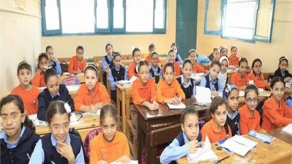 الحكومة : مد العام الدراسي في الأجازة الصيفية حال تعطل الدراسة لمدة شهر | فيديو