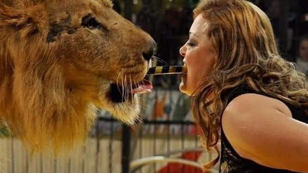 بنادي الشمس الرياضي .. سيرك فاتن الحلو يطلق شارة بدء حفلات صباحية ومسائية | صور