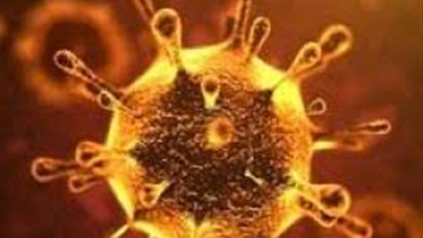 طبيب يوضح نسبة إصابة الأطفال بفيروس كورونا