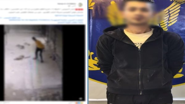 هجم عليا.. تفاصيل ضبط المتهم بالاعتداء على كلب بالقاهرة | فيديو