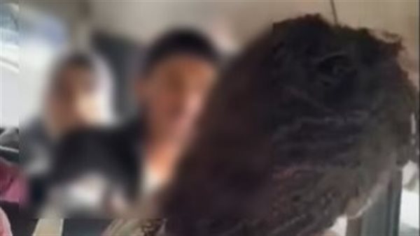 تفاصيل القبض على طالب تحرش بزميلته في منطقة ألعاب ترفيهية بالمعادي