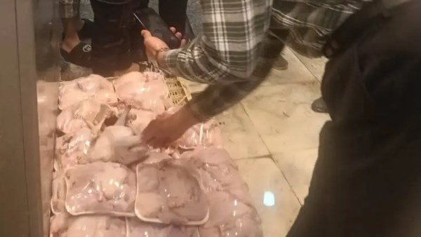 القصة الكاملة.. الدواجن السردة تقلق المصريين