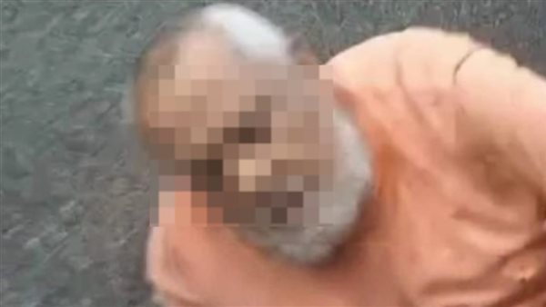 9 أطفال وتورط محتمل لعاملة.. مفاجآت جديدة عن ضحايا مدرسة الإسكندرية الدولية 