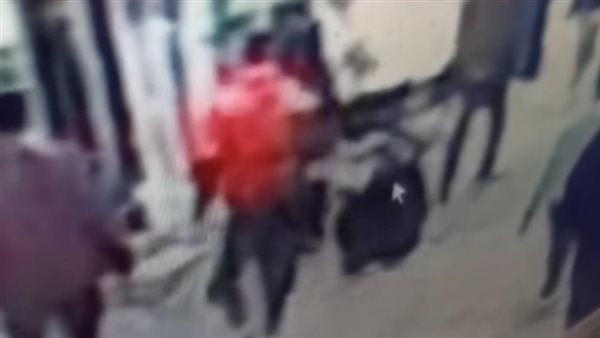 ضربها وسحلها في الشارع.. تفاصيل صادمة عن فيديو السيدة والكلب في شبرا الخيمة