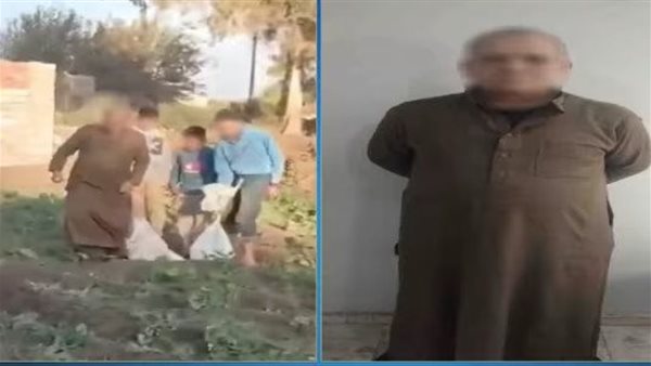 فيديو صادم.. مزارع يجمع الكلاب الصغيرة في أجولة بلاستيكية بالغربية | شاهد