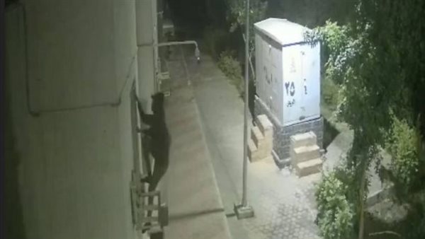 على طريقة طرزان.. لص يسرق شقة سكنية داخل كمبوند بالشروق