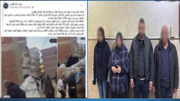 فتاة الميراث بالشرقية.. القصة الكاملة لفيديو ضرب طالبة الطب | شاهد