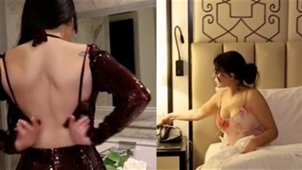 فيديو هيفاء وهبي الفاضح.. قرار جديد بشأن واقعة مقاطع الفنانة الخادشة