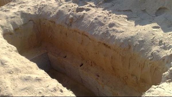 فتحوا القبر لدفن الميت فوجدوا مملكة نحل وعسل.. تفاصيل أغرب جنازة بالمنوفية