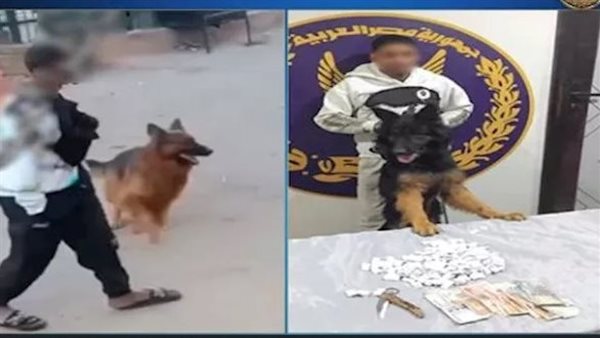 فيديو صادم.. شاب يهدد مواطنًا بكلب في شبرا الخيمة | شاهد