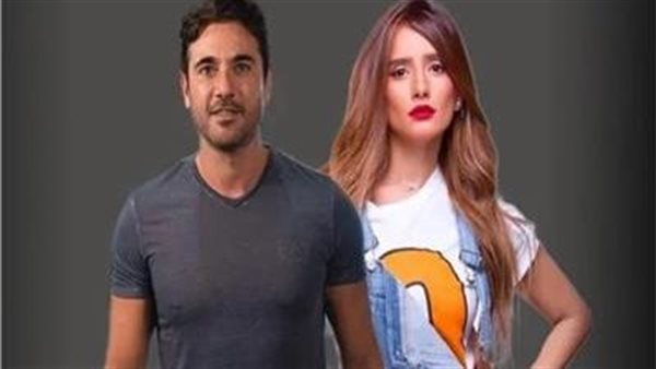  أجر خادمة.. تفاصيل إلزام أحمد عز بدفع 30 ألف جنيه إلى زينة 