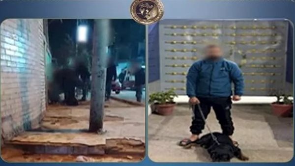 فيديو صادم.. كلب يهاجم عامل بعد تحريض صاحبه | شاهد