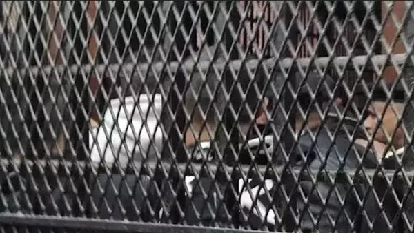 أب بلا قلب.. حكاية عاطل حوّل منزله بالمنوفية إلى سلخانة لتعذيب طفله