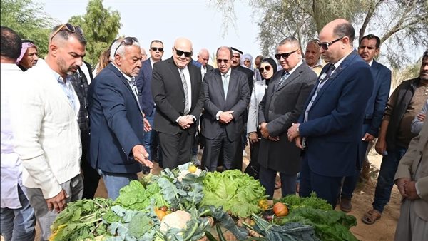 الجامعة البريطانية تدشن مشروعًا بحثيًا لتحويل المخلفات الزراعية لعلف حيواني بجنوب سيناء