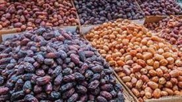 بعدما أثارت الجدل.. حقيقة استيراد مصر للتمور الإسرائيلية قبل رمضان