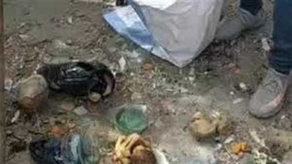 عيادة مغلقة وطبيب متوِفي.. التفاصيل الكاملة للعثور على جوال الأجنّة الغامضة بالمنيا