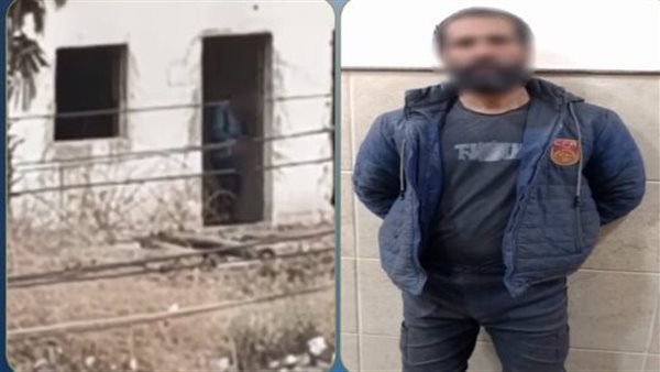 تفاصيل القبض على عامل ارتكب أفعالًا خادشة للحياء بجوار شريط السكة الحديد في البحيرة | فيديو