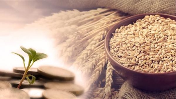 اثنان لا تجب عليهما.. زكاة الفطر 2026 قيمتها ووقتها ولمن تعطى