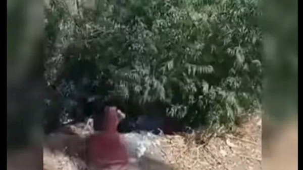 كنت متكتف على النخلة.. زوج السيدة المعتدى عليها بدمنهور يكشف تفاصيل صادمة