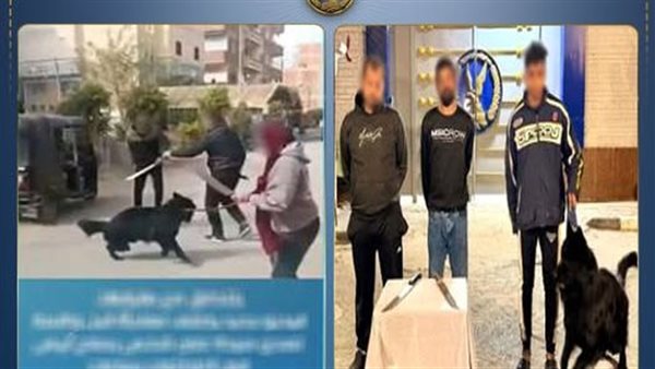 مشاجرة شغلت السوشيال.. التفاصيل الكاملة لخناقة الكلب والساطور بالمنوفية